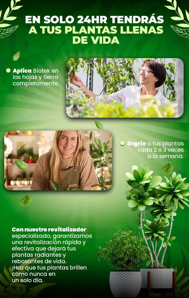 BIOTEK ® ALIMENTO REVITALIZADOR DE PLANTAS EN 24H