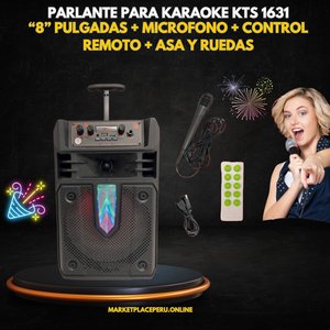 Parlante karaoke tipo maleta