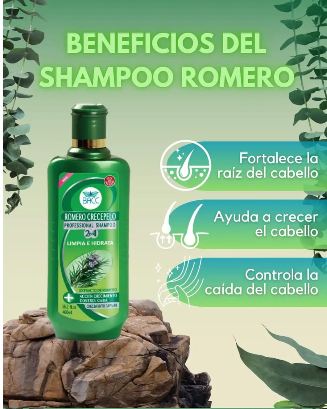 Shampoo de Romero- Contra la Caída del Cabello